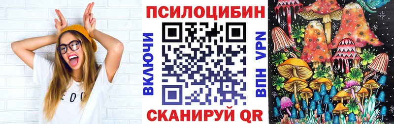 Псилоцибиновые грибы Cubensis  Хилок 